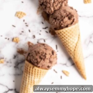 Decadent Chocolate Avocado Ice Cream 12 Chocolate Avocado Ice Cream in two cones on marble slab