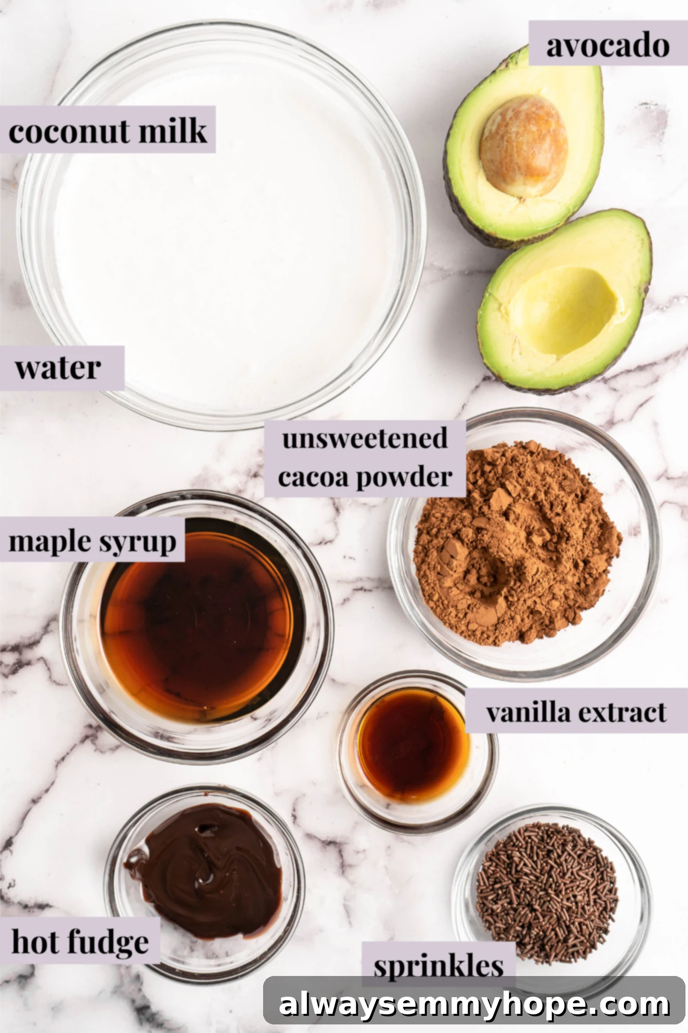 Decadent Chocolate Avocado Ice Cream 3 Ingredients for Chocolate Avocado Ice Cream