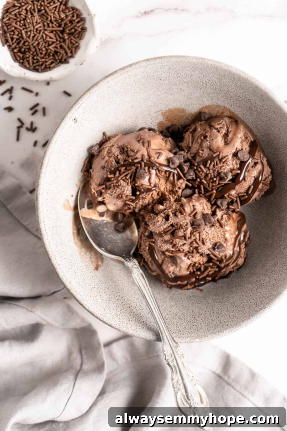 Decadent Chocolate Avocado Ice Cream 5 Chocolate Avocado Ice Cream in bowl with spoon and sprinkles