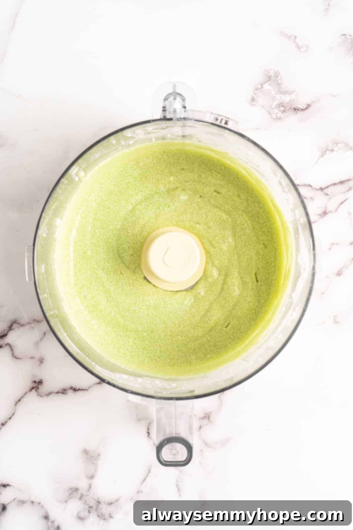 Decadent Chocolate Avocado Ice Cream 6 Avocado and coconut milk puree in food processor bowl