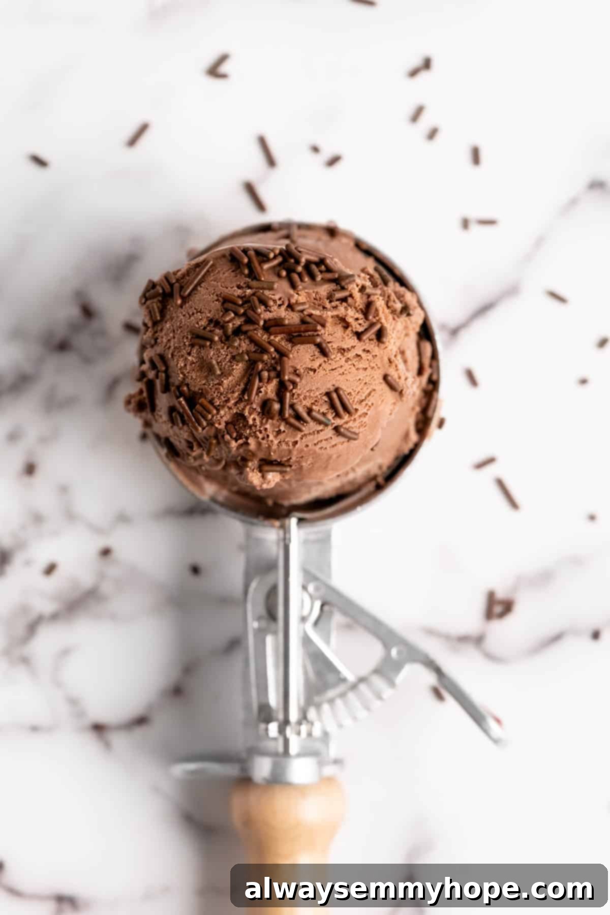 Decadent Chocolate Avocado Ice Cream 9 Scoop of Chocolate Avocado Ice Cream with sprinkles