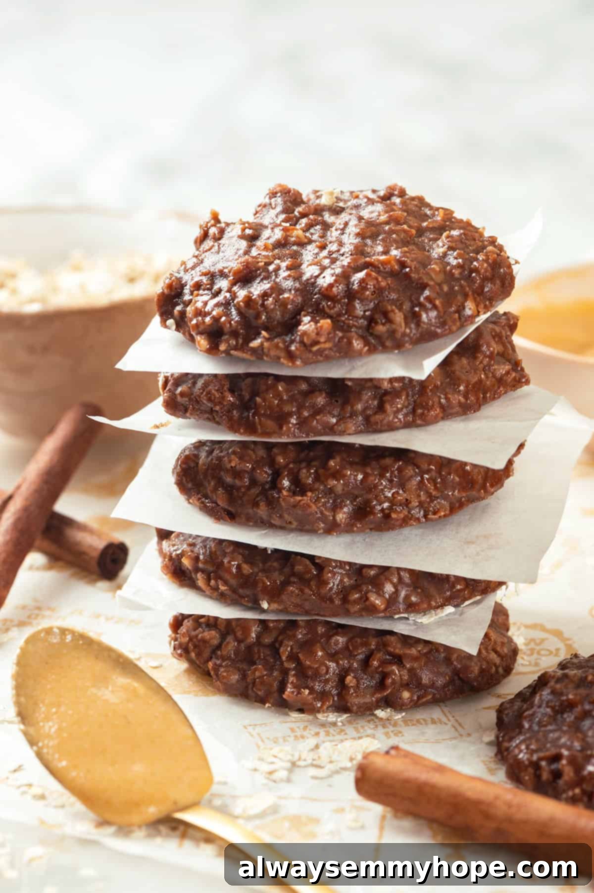 Stack of 5 vegan no bake cookies