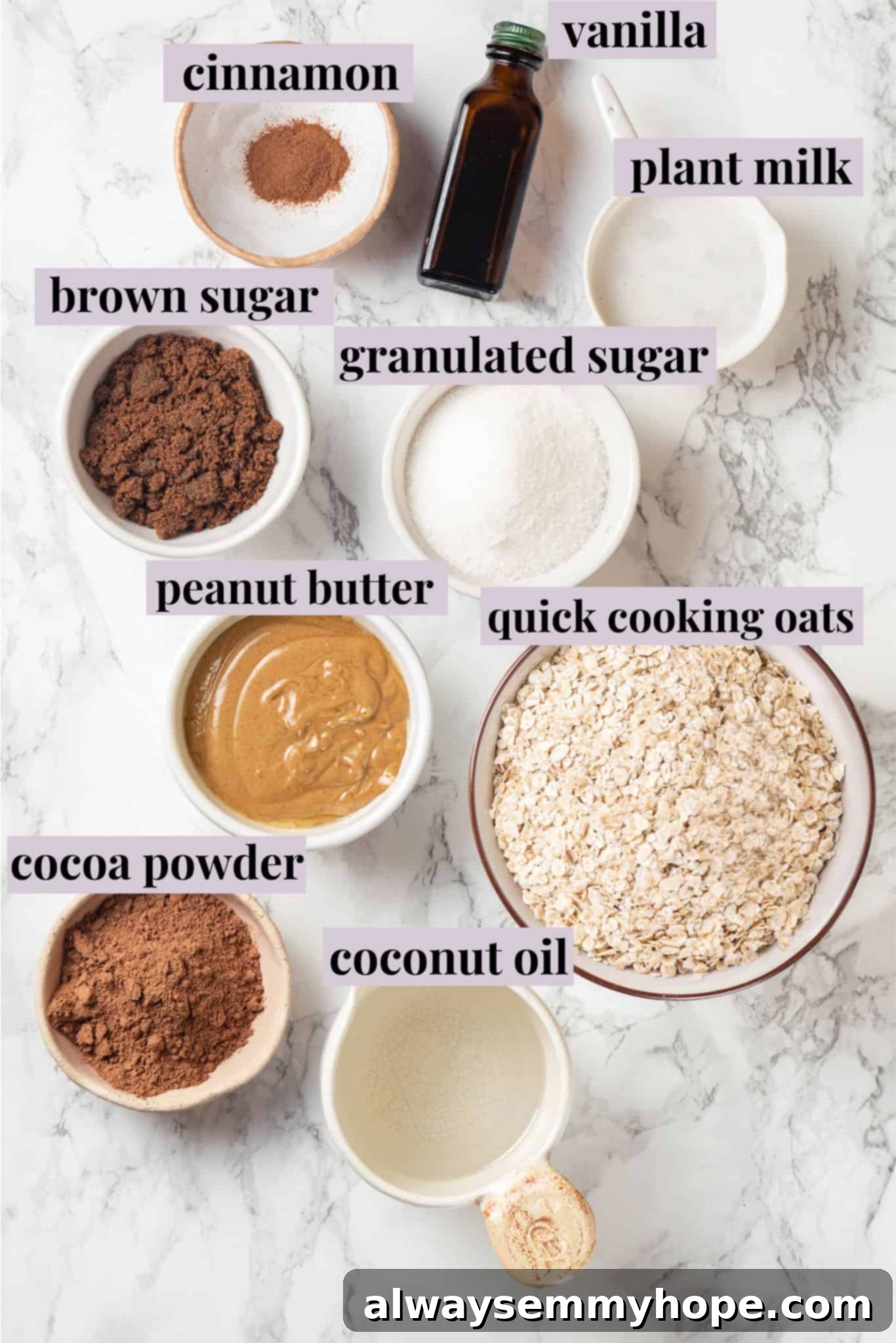 Overhead view of ingredients for no bake cookie recipe with labels