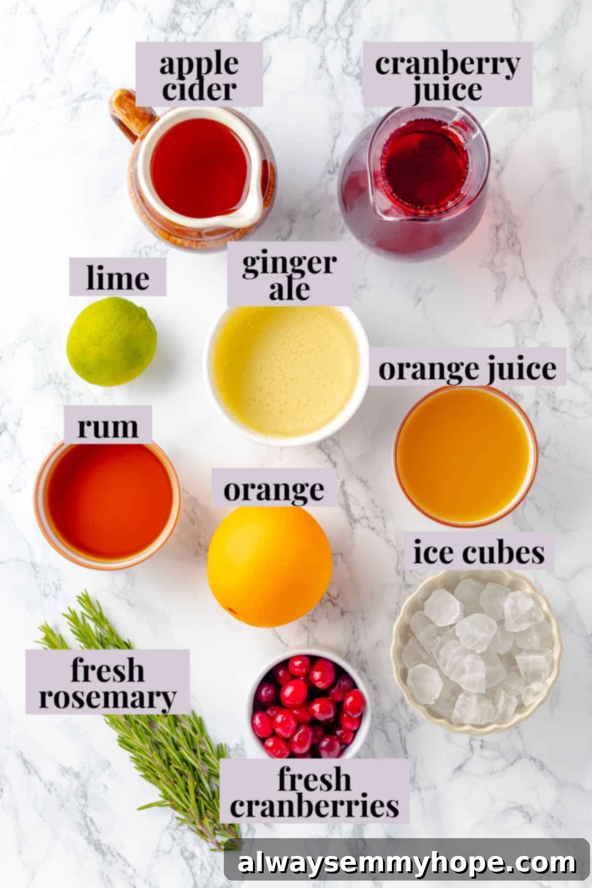 Overhead view of various ingredients for Christmas punch laid out on a table, including bottles of juice, ginger ale, rum, fresh lime, cranberries, and orange slices.