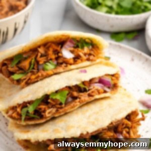 Three golden brown homemade vegan jackfruit gorditas piled on a white plate, garnished with fresh cilantro and lime wedges, ready to serve.