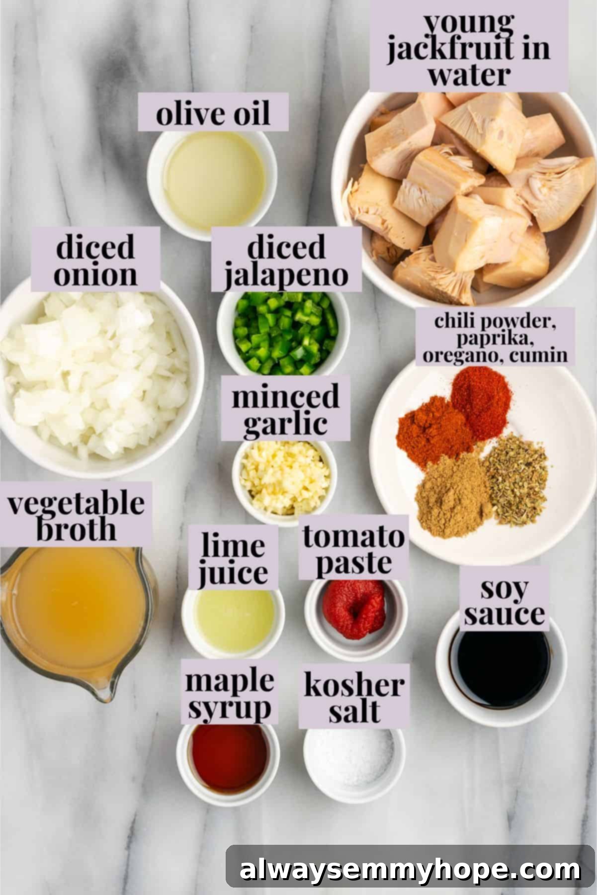 Overhead view of all the fresh ingredients needed for the sweet and spicy vegan jackfruit gordita filling, including canned jackfruit, various spices, onions, garlic, jalapeno, broth, lime juice, and maple syrup.