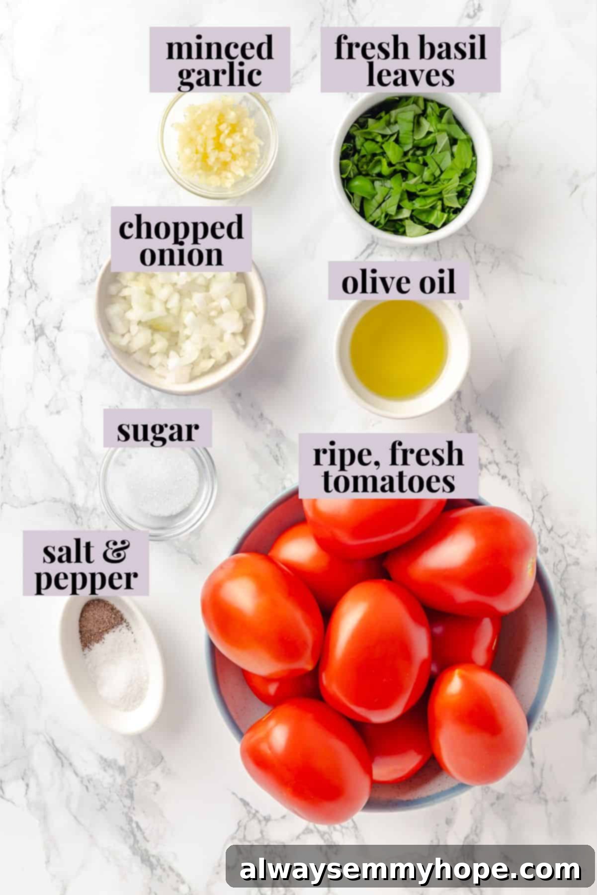 This homemade pomodoro sauce recipe takes a short list of simple ingredients and transforms them into a fresh, vibrant pasta sauce. So easy! Overhead view of fresh ingredients for homemade pomodoro sauce: tomatoes, onion, garlic, basil, olive oil, salt, pepper, and sugar.