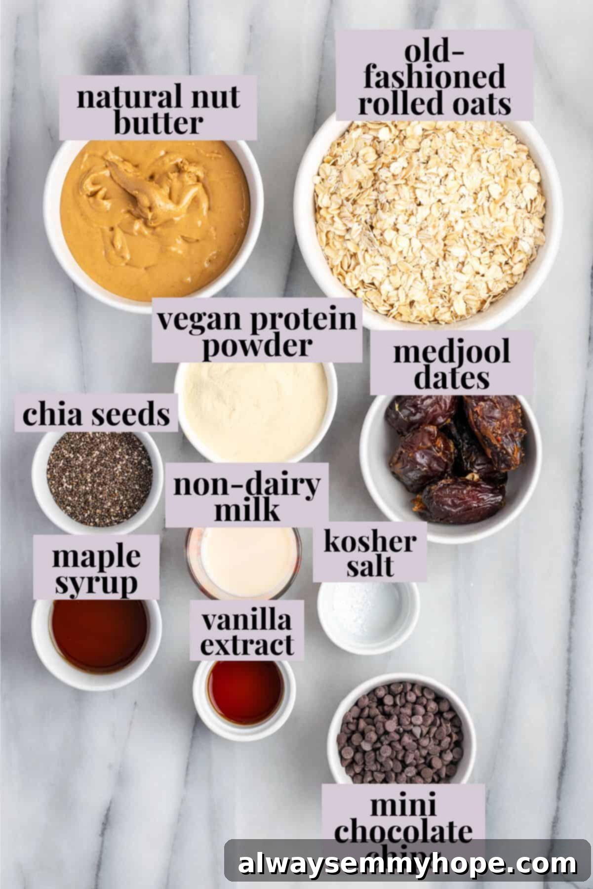 These homemade vegan protein bars are an easy, no-bake recipe that you can customise with your favourite flavours and mix-ins. So tasty! Overhead view of ingredients for vegan protein bars with labels, including oats, nut butter, dates, and protein powder