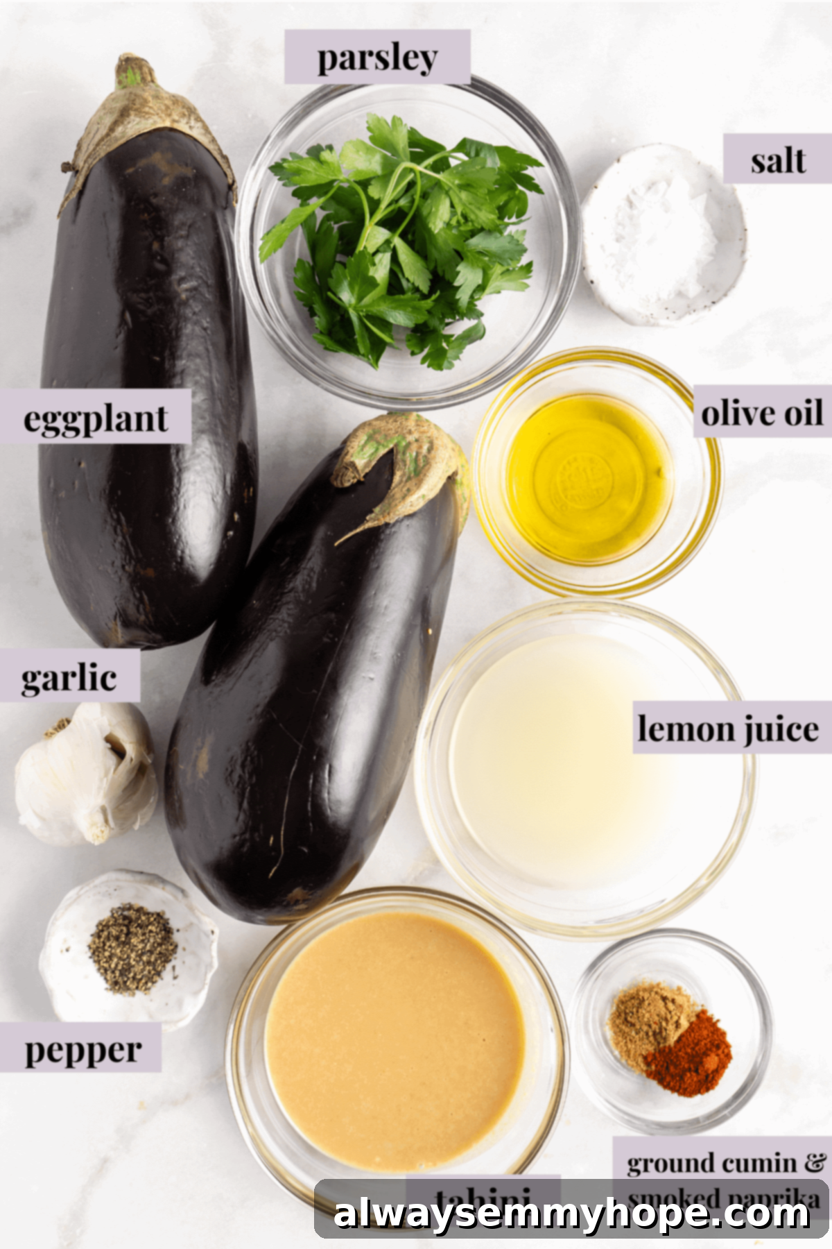 Overhead view of baba ghanoush ingredients laid out on a table