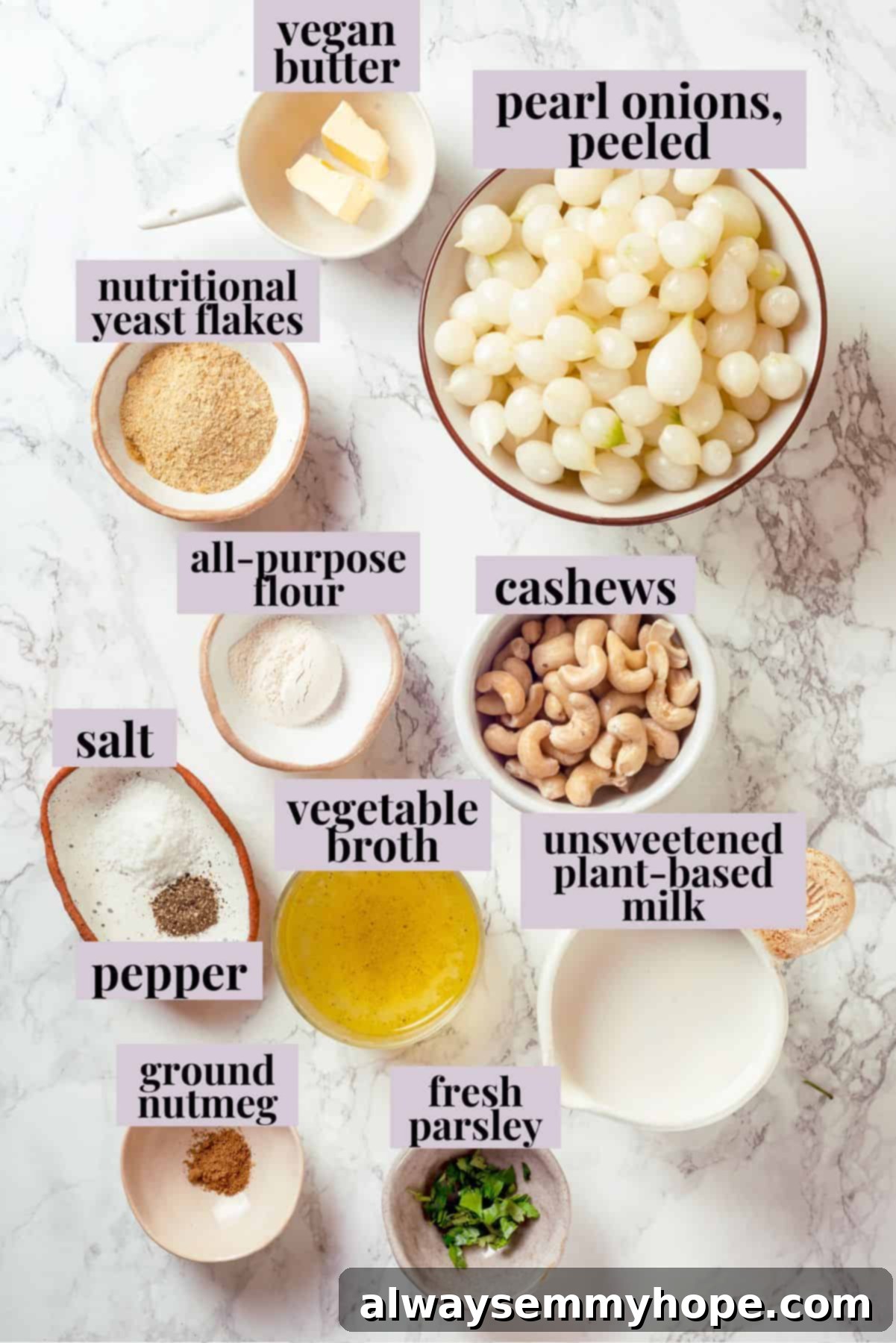 These creamed onions are sweet, savoury, and rich. A stovetop recipe perfect for holiday dinners but easy enough for a weeknight! Overhead view of ingredients for creamed onions with labels