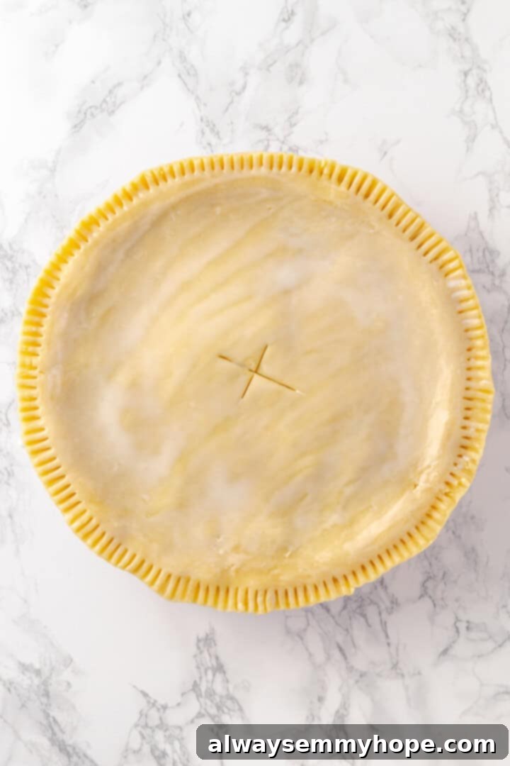 Vegan tourtière brushed with plant milk and slits, ready for baking