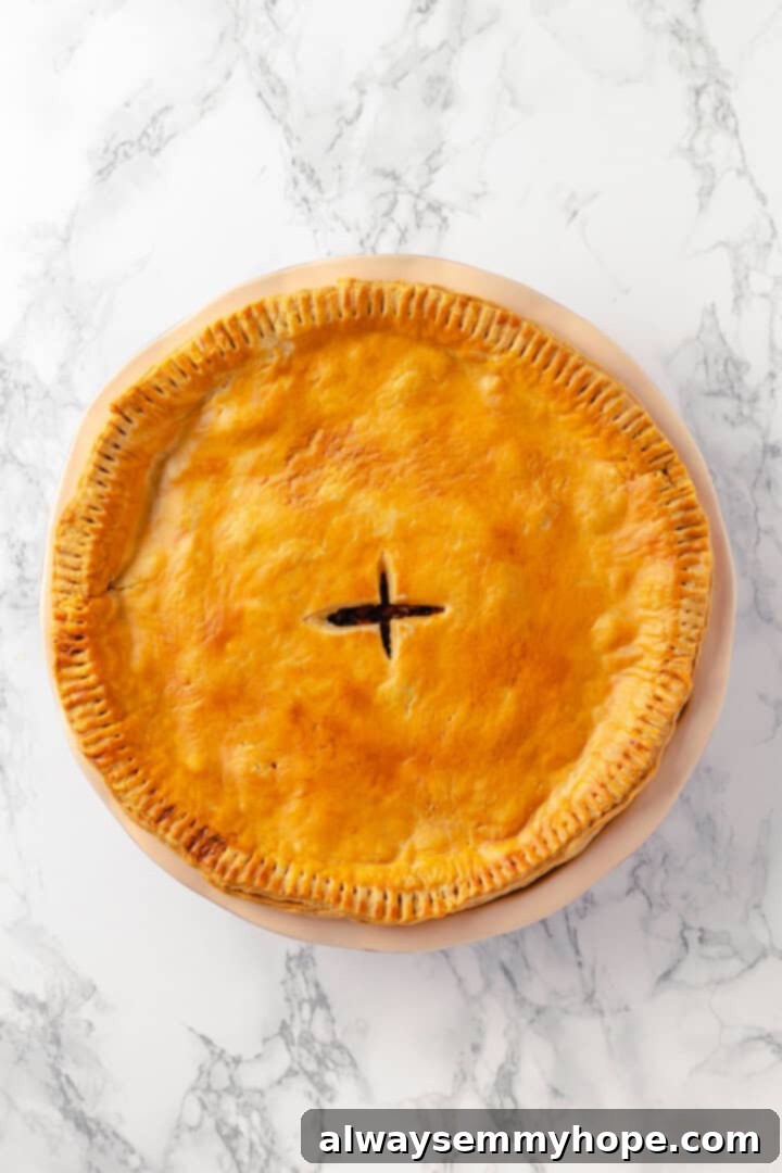 Overhead view of a perfectly baked, golden vegan tourtière in a pie dish