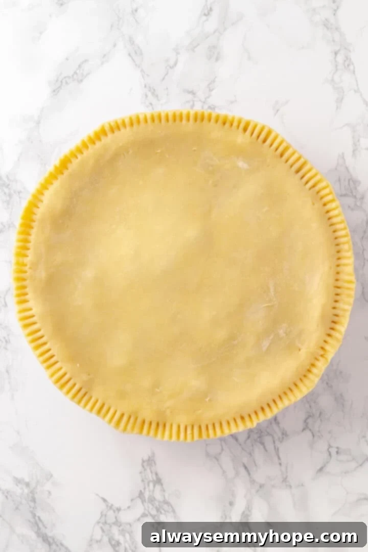 Vegan tourtière before adding decorative slits on top crust