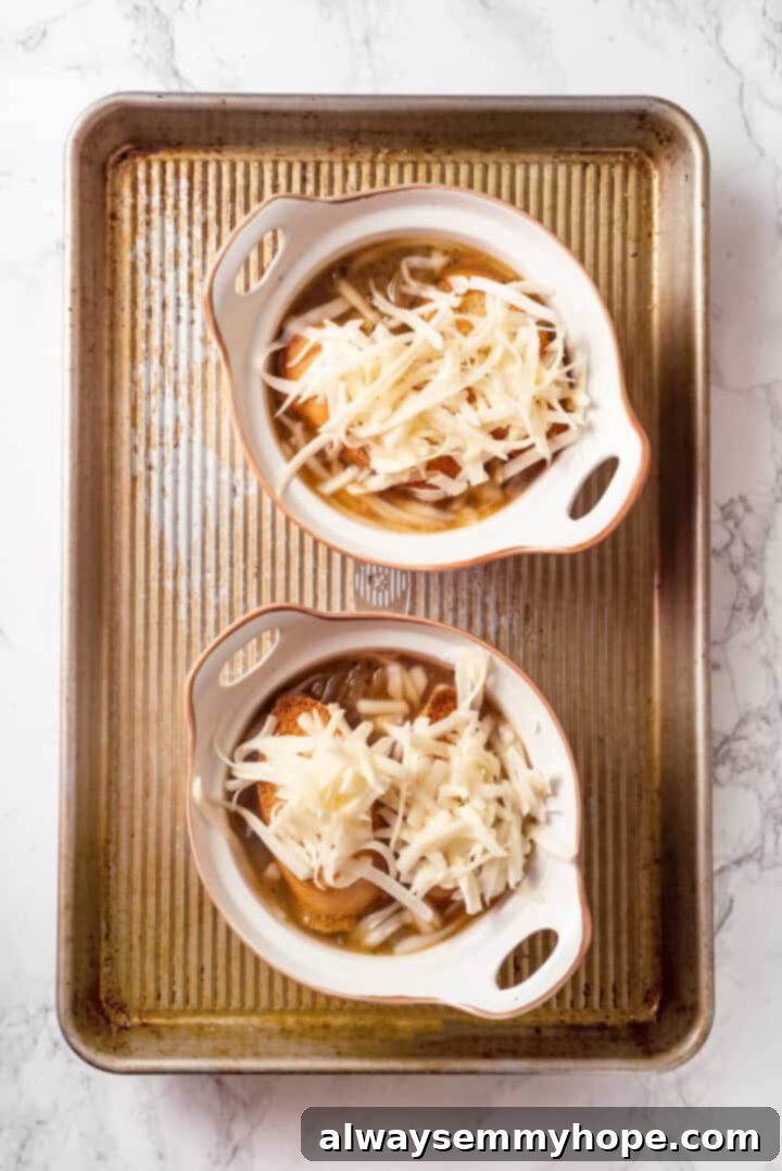 This vegan French onion soup recipe is full of rich, savoury flavour, and lots of melty cheese! The perfect cozy dinner for a chilly day. Overhead view of French onion soup in bowls before baking