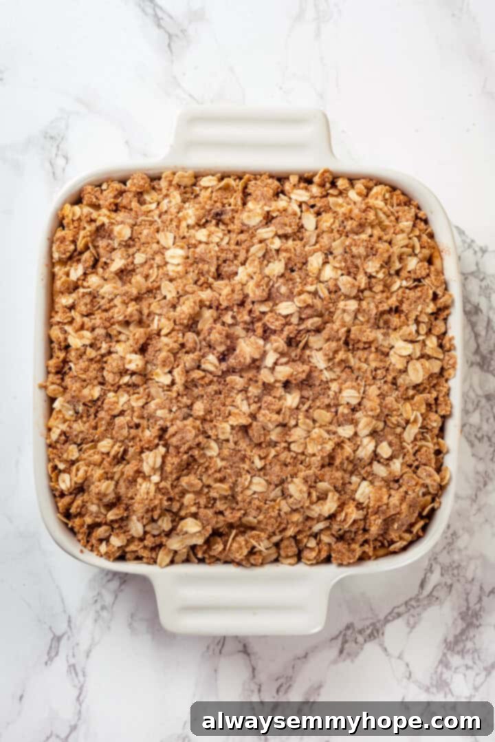 Overhead view of vegan apple crisp