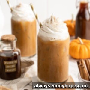 Autumn Spice Elixir 2 Two pumpkin spice lattes with vegan whipped cream