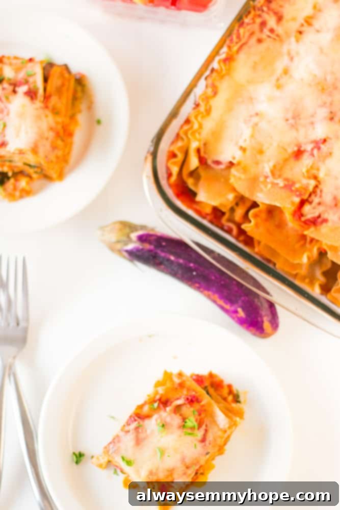 This whole wheat, hearty, loaded Vegetable Lasagna is delicious, cheesy and completely customisable! Perfect for a comforting dinner. Top down shot of lasagna in a baking dish with slices on plates.