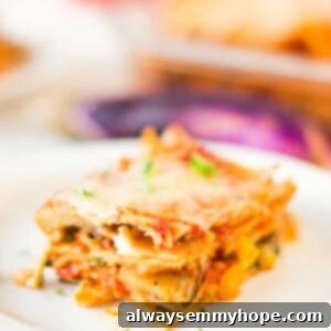 Garden Fresh Lasagna 5 Close up of a lasagna slice on a white plate.