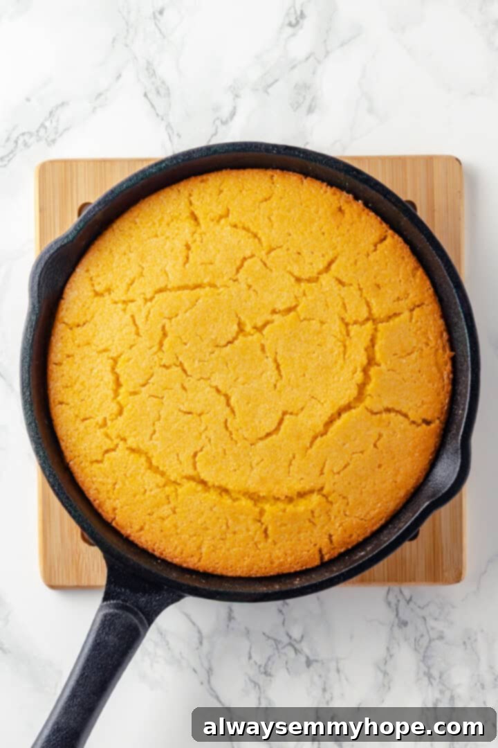 This vegan corn pone is crispy on the outside, tender on the inside, and so delicious! If you like cornbread, you’ll love this recipe. Golden-brown vegan corn pone in a cast iron skillet, fresh out of the oven