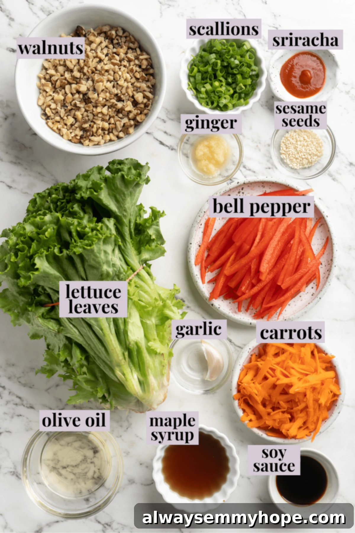 Overhead view of ingredients for lettuce wraps with labels