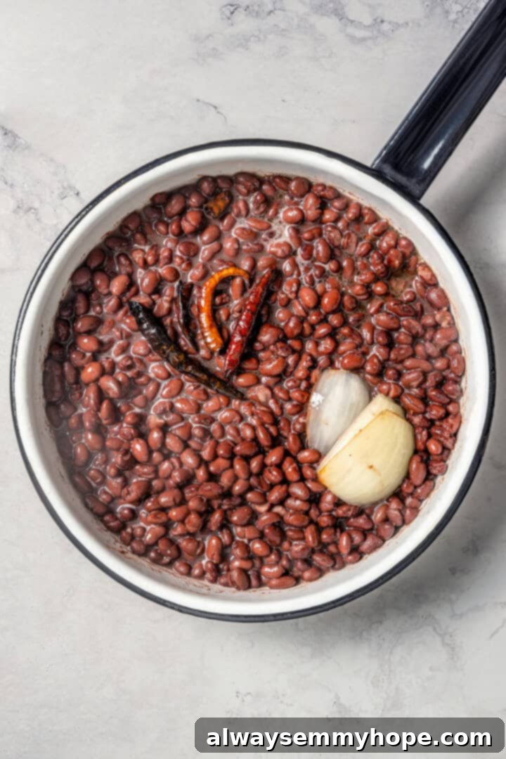 Easy tlacoyos filled with black beans. Top this homemade and vegan spin on Mexican street food with diced avocado, salsa and vegan cheese. Beans in a pot with chilis and onion.