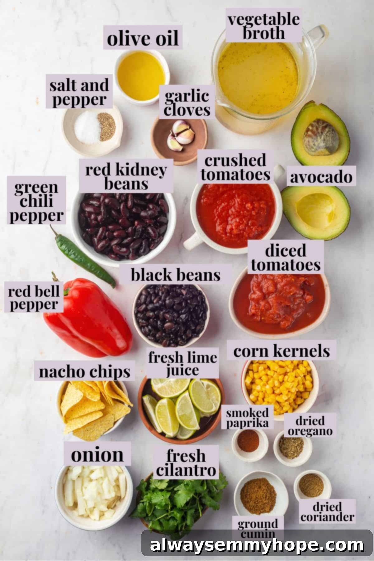 This vegan taco soup packs in a whole lot of flavour! With a zesty broth, lots of beans, and veggies, this soup is hearty and satisfying. Overhead view of ingredients for vegan taco soup with labels