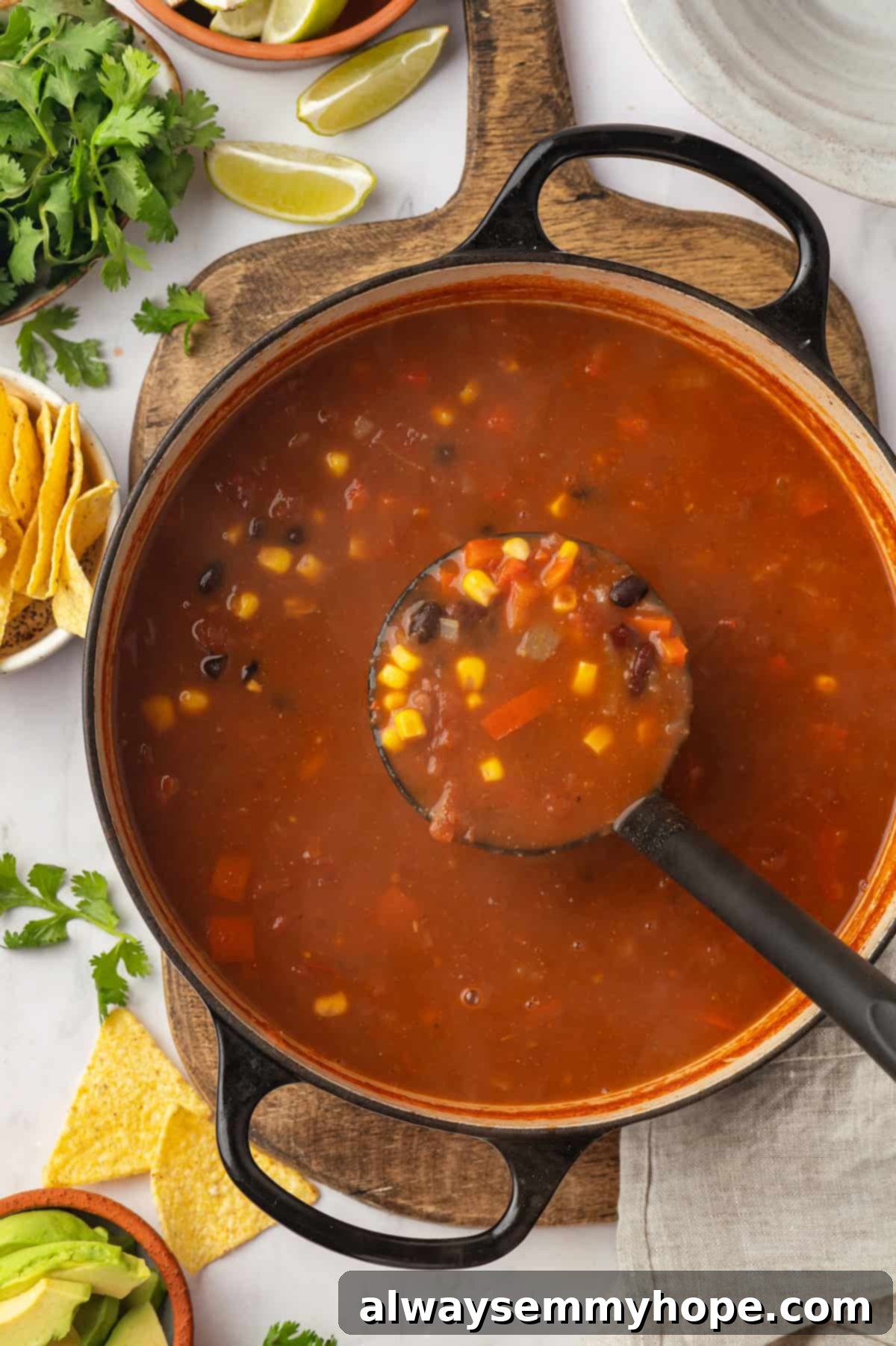 This vegan taco soup packs in a whole lot of flavour! With a zesty broth, lots of beans, and veggies, this soup is hearty and satisfying. Ladle of taco soup in pot