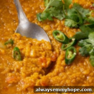 Hearty Red Lentil Dal 2 Closeup of red lentil dal with spoon