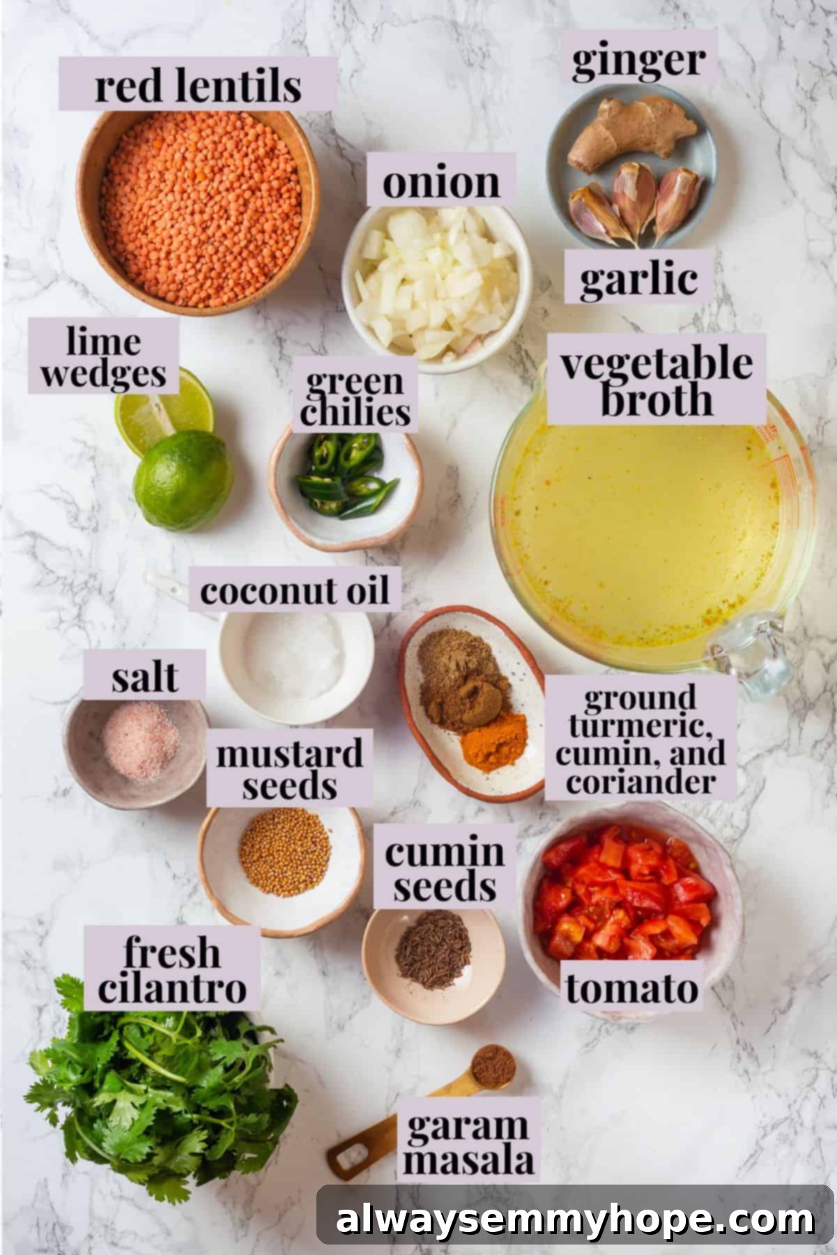 Key Ingredients for Authentic Red Lentil Dal Various fresh ingredients for Red Lentil Dal, including whole red lentils, fresh ginger, garlic, onion, a vibrant tomato, green chilies, and a selection of ground spices laid out on a wooden surface.