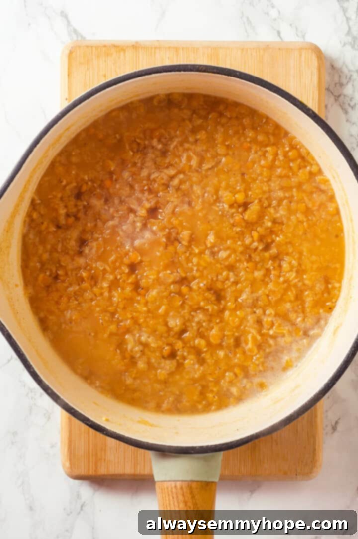 Simmering Red Lentils for Creamy Dal Close-up of vibrant orange-red lentils simmering gently in a pot, starting to soften and absorb the liquid.