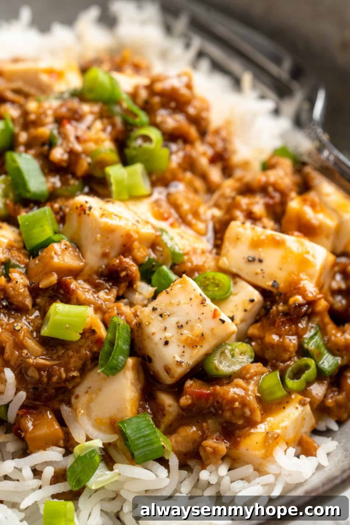 Vegan Mapo Tofu Served with Rice A close-up overhead view of a bowl of vegan mapo tofu, garnished with fresh scallions, served alongside rice.