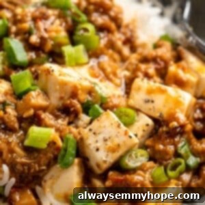 Spicy Sichuan Mapo Tofu 2 Mapo tofu served over rice