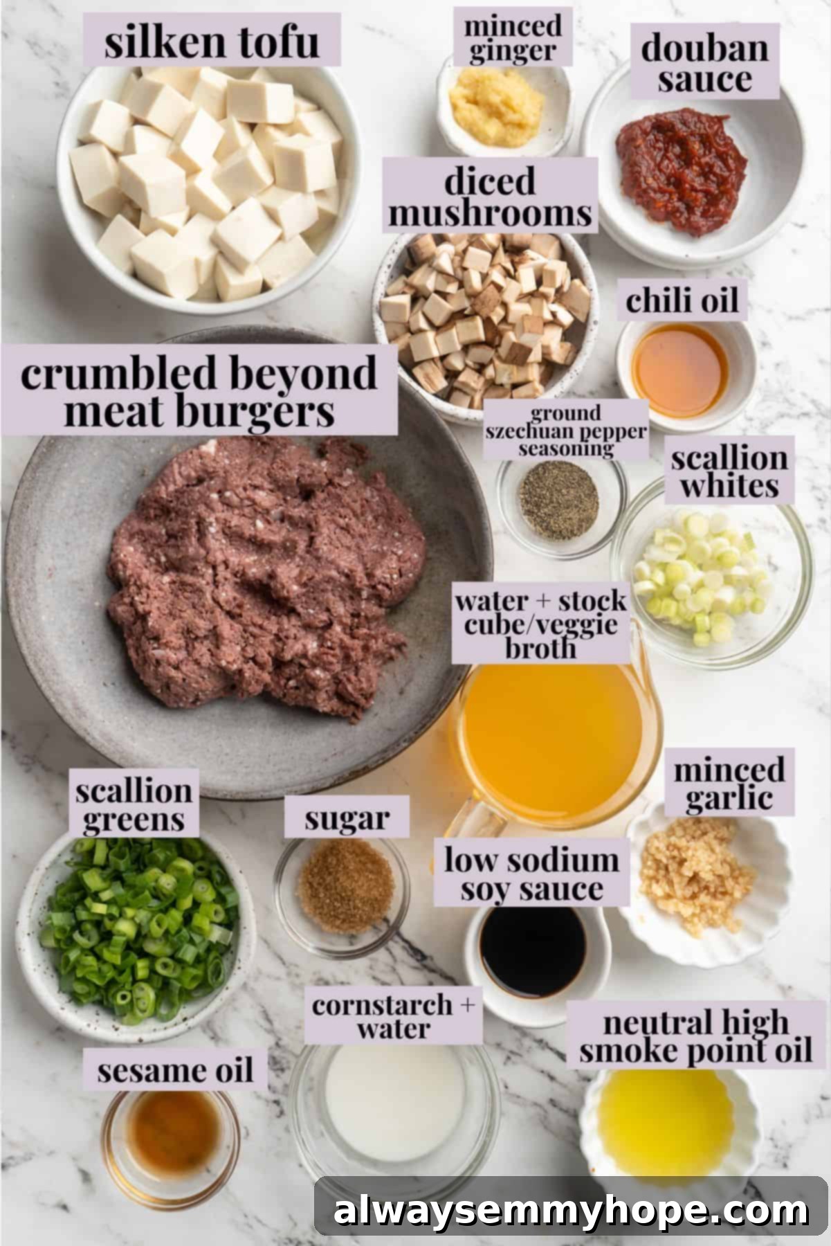 Essential Ingredients for the Best Vegan Mapo Tofu Recipe Overhead view of all essential ingredients for vegan mapo tofu, neatly arranged and labeled on a wooden surface.