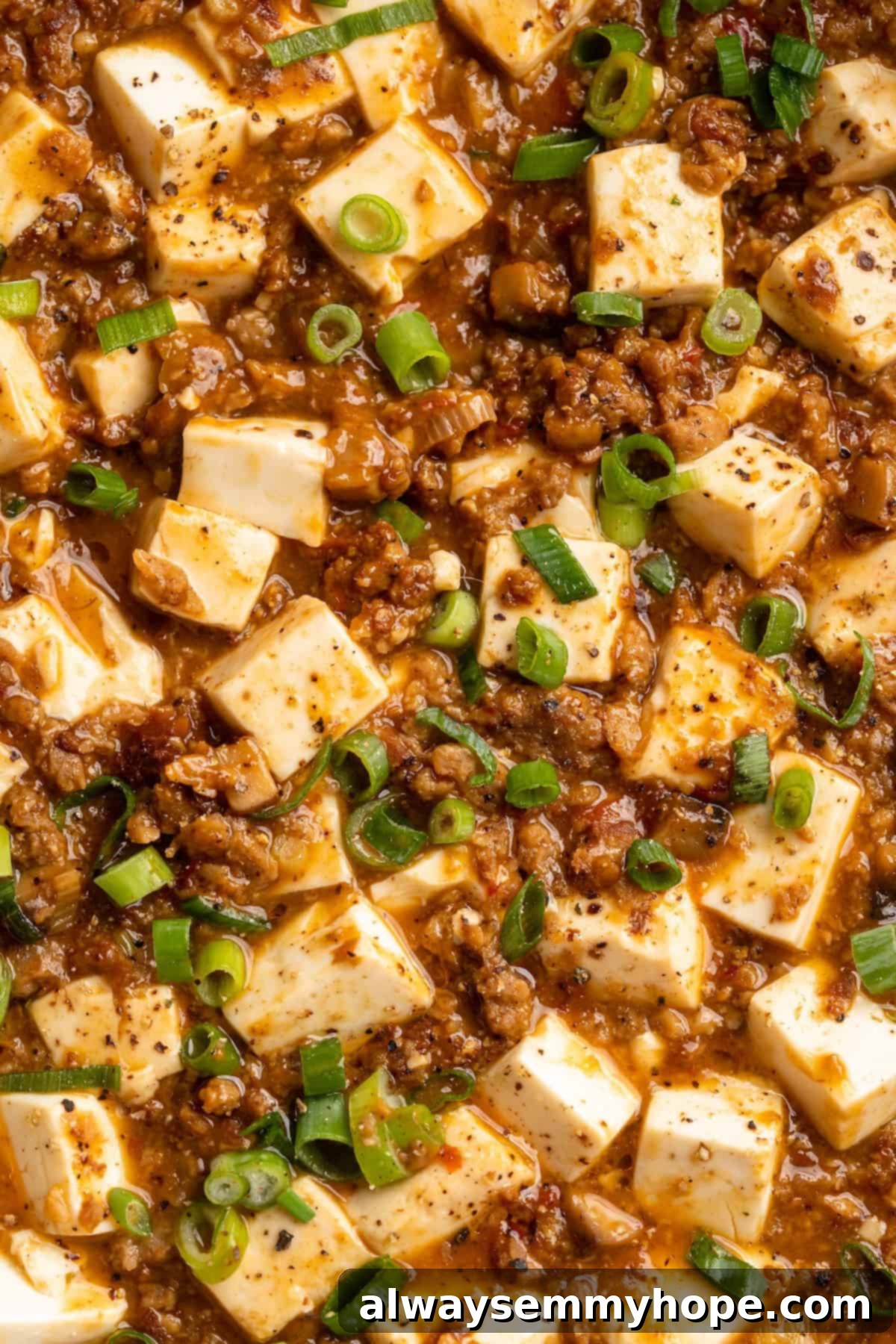 Freshly Made Vegan Mapo Tofu Overhead view of a prepared vegan mapo tofu dish, garnished and ready to be served.