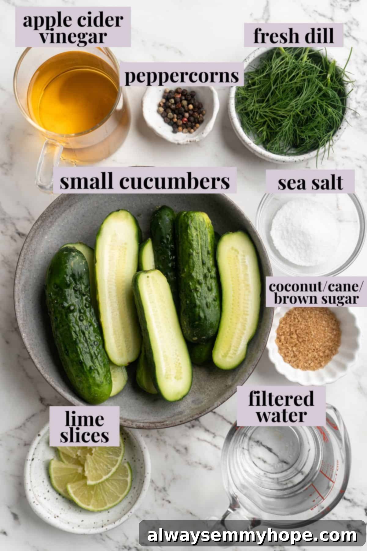 Overhead view of ingredients for homemade pickles with labels, including cucumbers, vinegar, salt, sugar, and spices.