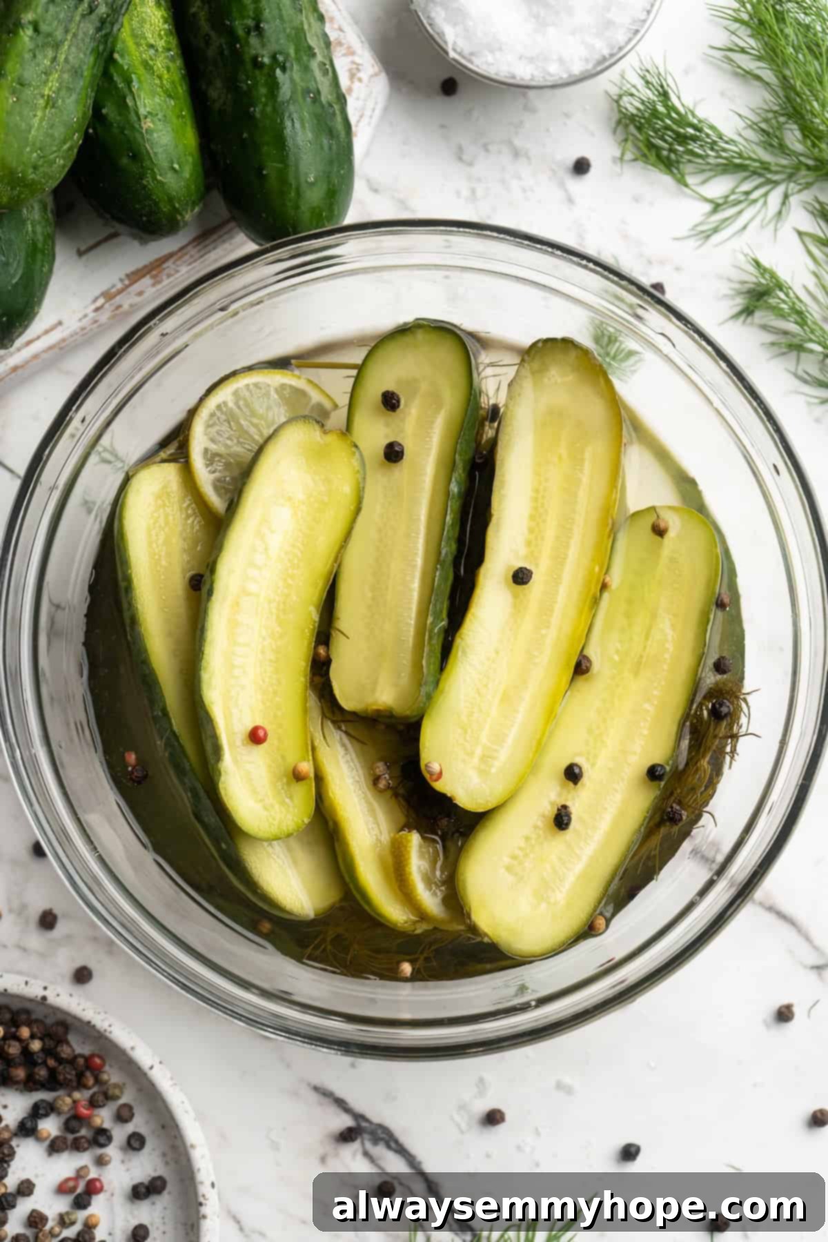 A bowl filled with freshly made homemade pickles, garnished with fresh dill.
