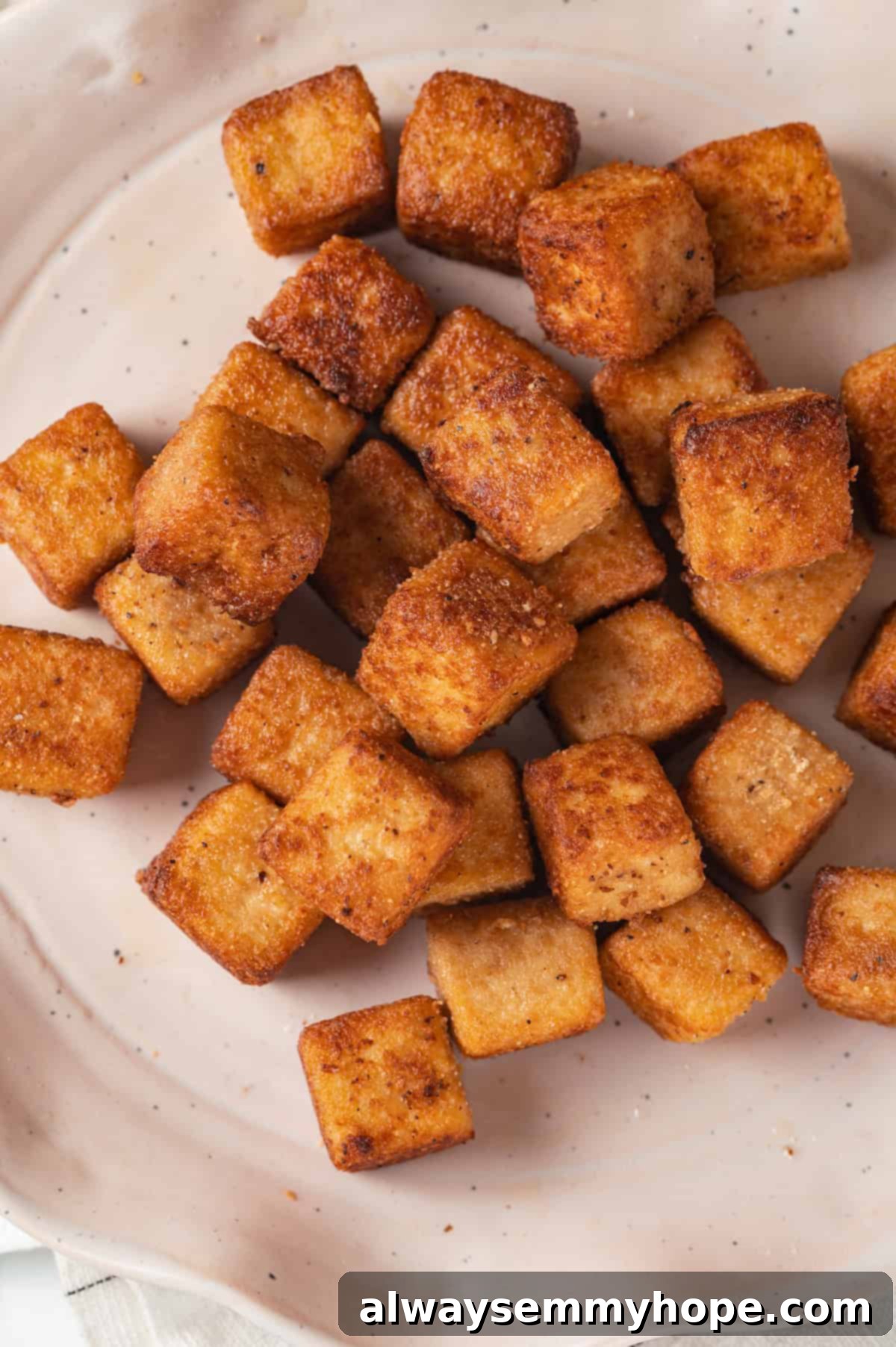 Plate of crispy fried tofu