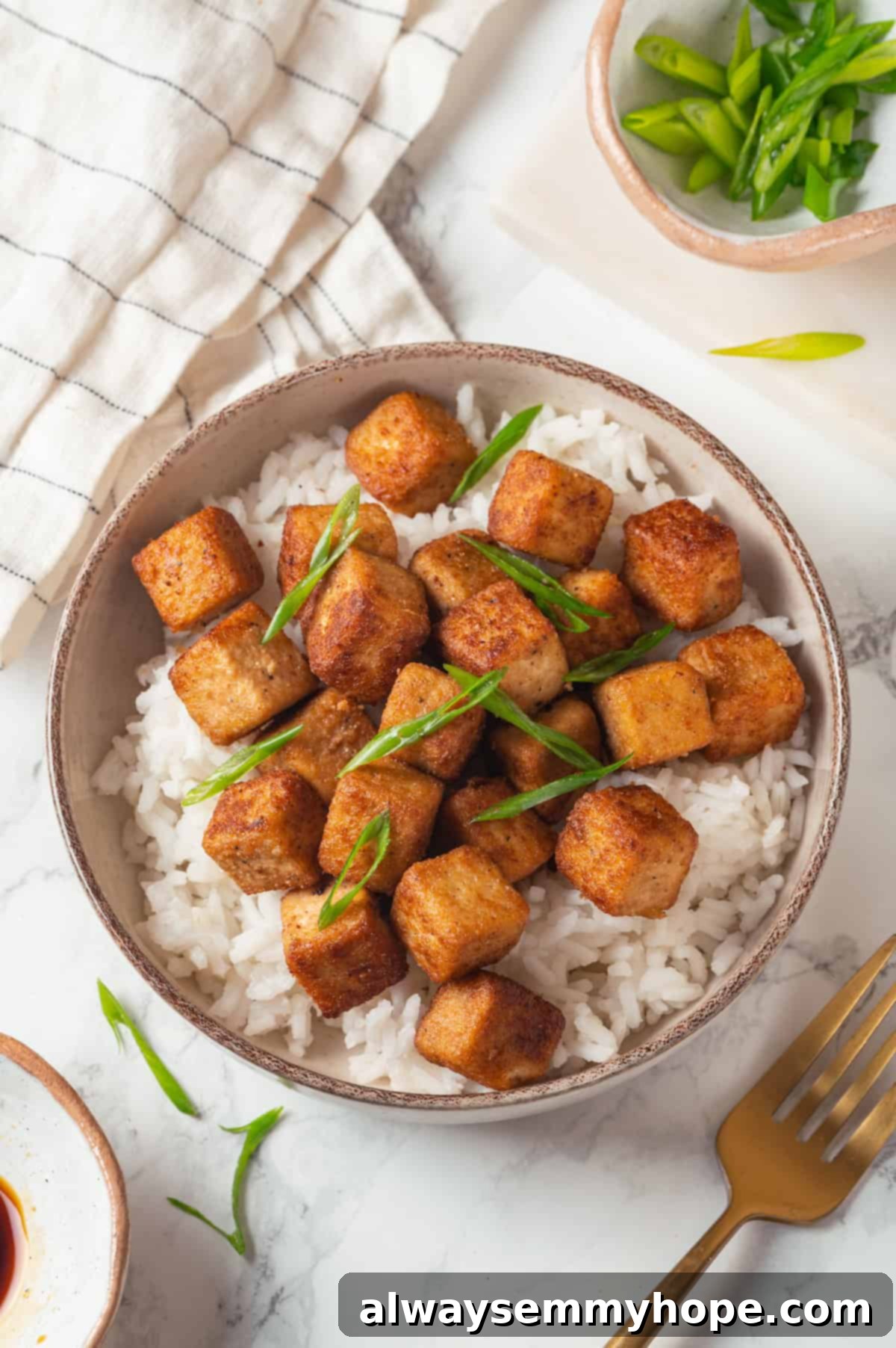 Overhead view of fried tofu in bowl of rice