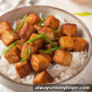 Crispy fried tofu in bowl of rice