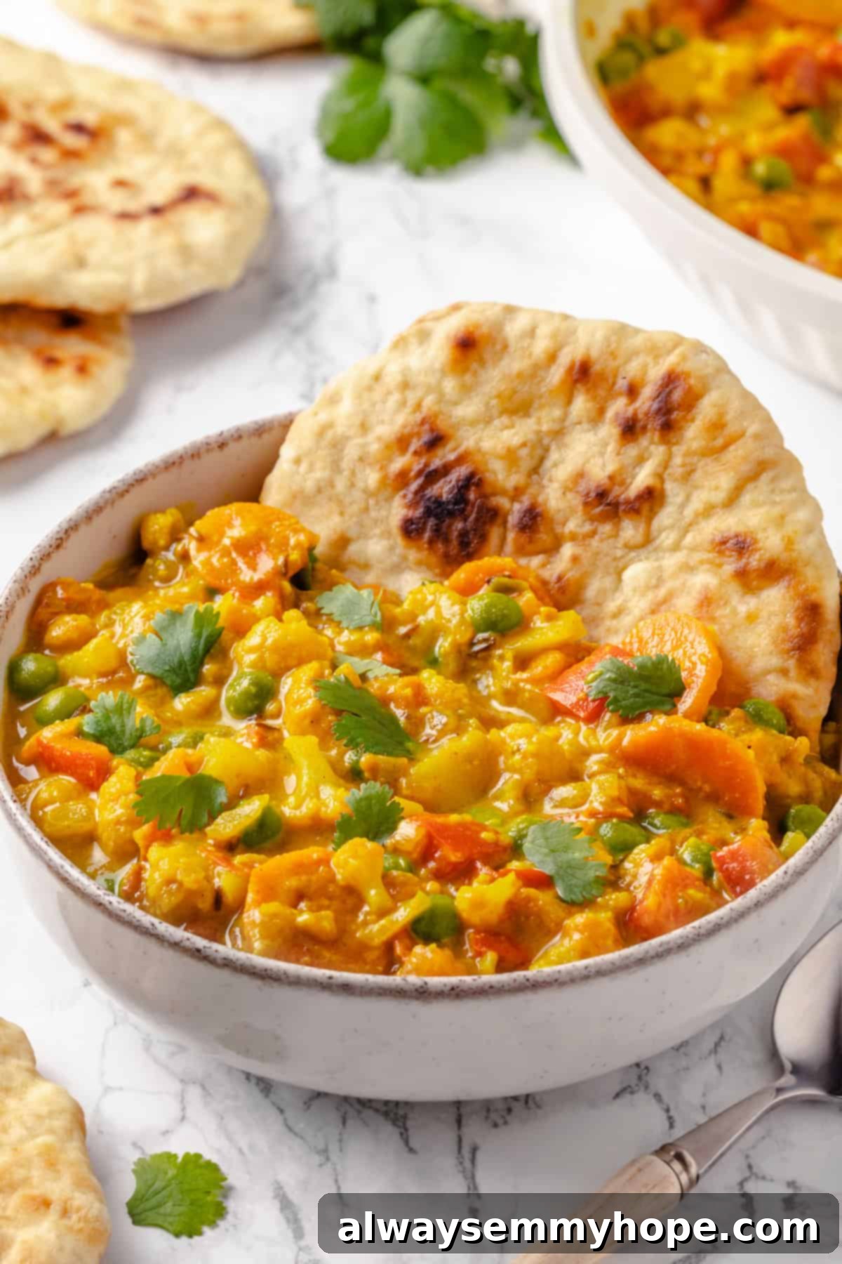 Vegetable korma is a rich and creamy Indian curry loaded with warm spices and tender veggies. It’s absolutely decadent and so easy to make! Bowl of vegetable korma with naan