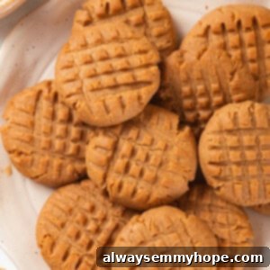 Overhead view of vegan peanut butter cookies on plate