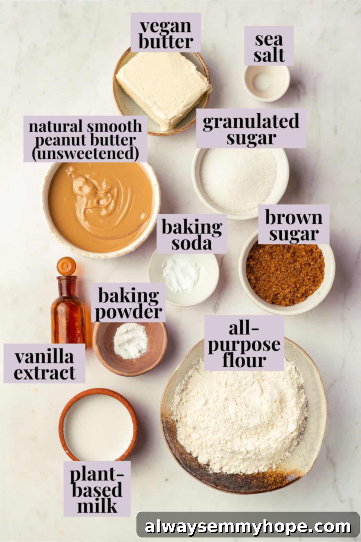 Overhead view of all the ingredients for vegan peanut butter cookies laid out with labels