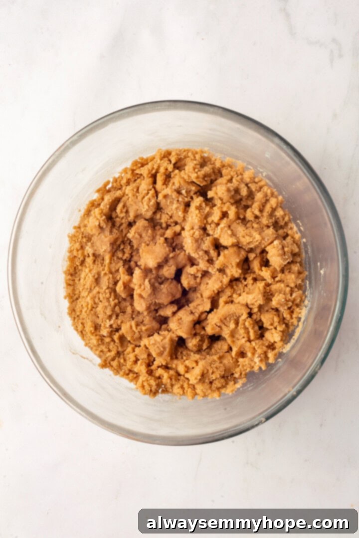 Overhead view of perfectly mixed peanut butter cookie dough in a bowl, ready to be scooped