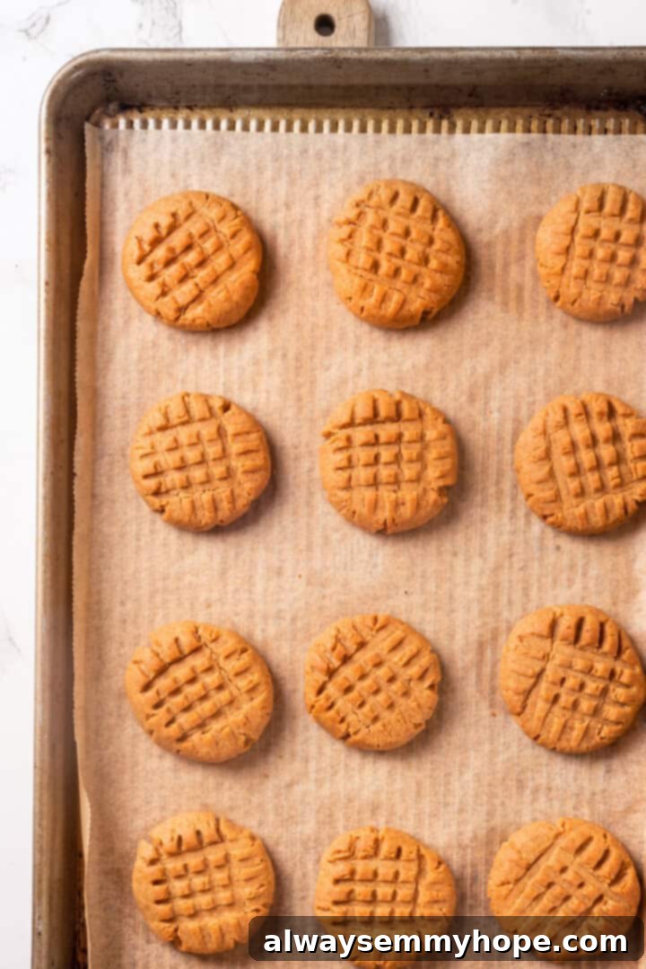 Overhead view of baked vegan peanut butter cookies on a parchment-lined baking sheet, golden brown at the edges