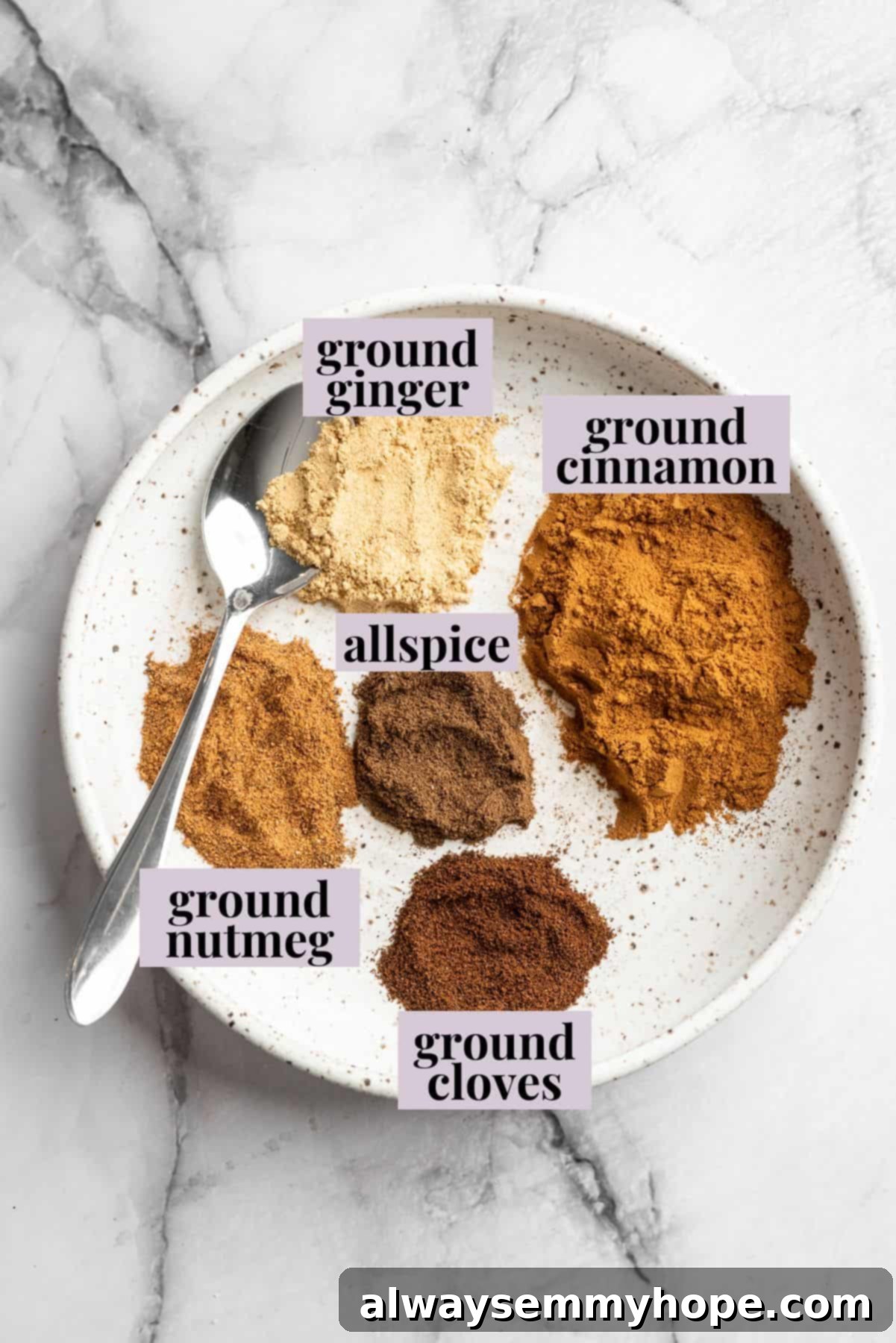 Overhead view of individual pumpkin pie spice ingredients laid out in small bowls with labels on a wooden surface.