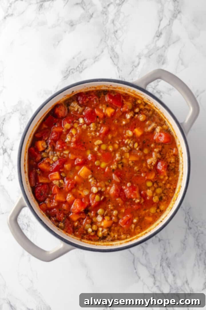 Combine all the soup ingredients (excluding pasta) and bring to a simmer, allowing the flavors to meld beautifully. Overhead view of the simmering lasagna soup base in a pot, rich with tomatoes, lentils, and broth, before the pasta is added.