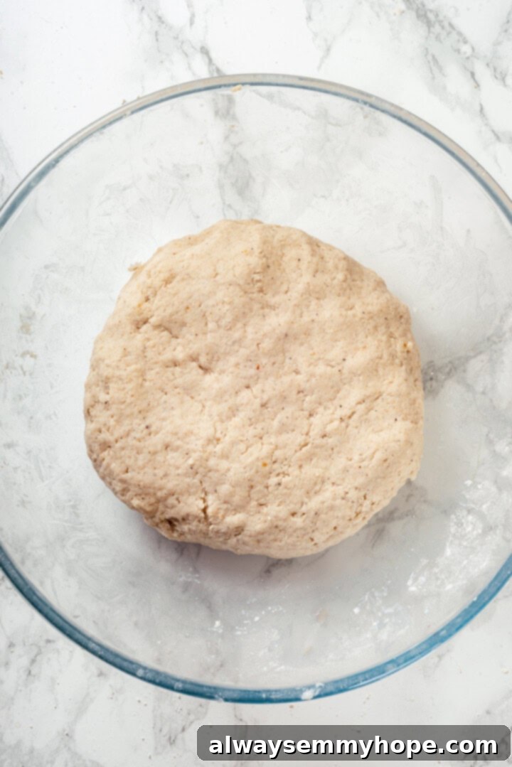 This easy gluten-free naan recipe has the chewy texture and slightly charred bits that make naan so irresistible, but without the wheat! Overhead view of gluten-free naan dough after kneading, soft and ready to rest in a bowl.