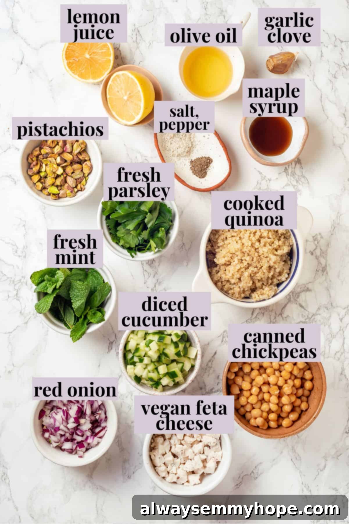 An organized overhead shot of all fresh ingredients for the vegan Jennifer Aniston salad, meticulously arranged on a countertop with labels.