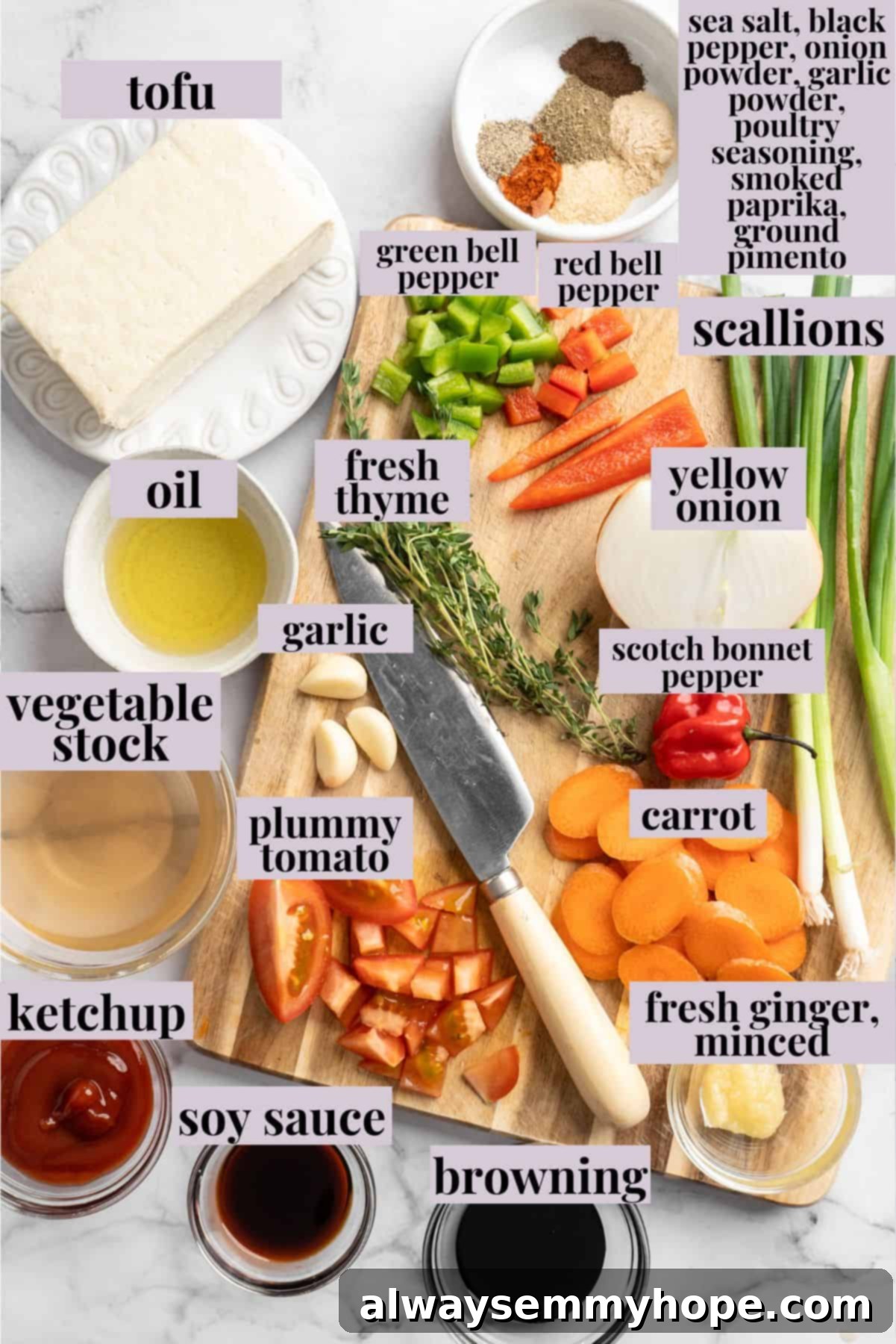 This brown stew tofu recipe is a flavourful, hearty dinner inspired by traditional Jamaican cooking—but with a vegan twist! Overhead view of brown stew tofu ingredients with labels, including tofu, vegetables, and spices