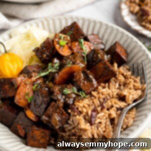 Savory Braised Tofu 2 Brown stew tofu in bowl with rice